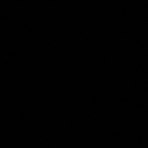 Meet your Posher, Evelyne